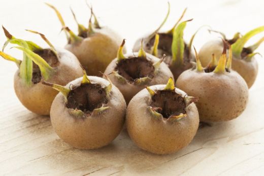 Muşmula Hoşafı Tarifi ve Malzemeleri