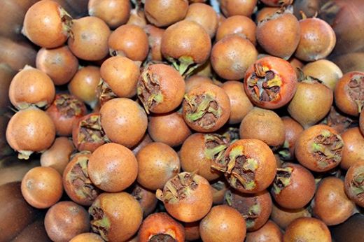 Muşmula Turşusu Tarifi ve Malzemeleri